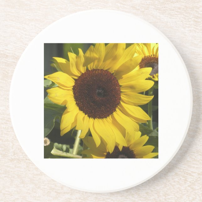 Posavasos Girasol (Frente)