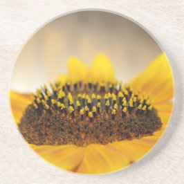 Posavasos Girasol