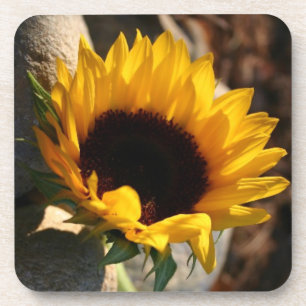 Posavasos Girasol