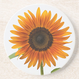 Posavasos Girasol