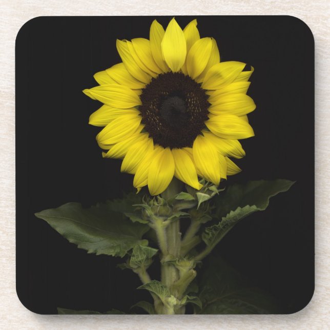 Posavasos Girasol 11 (Frente)