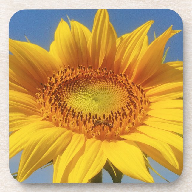 Posavasos Girasol amarillo (Frente)