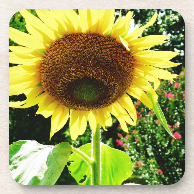 Posavasos Girasol amarillo grande (Frente)