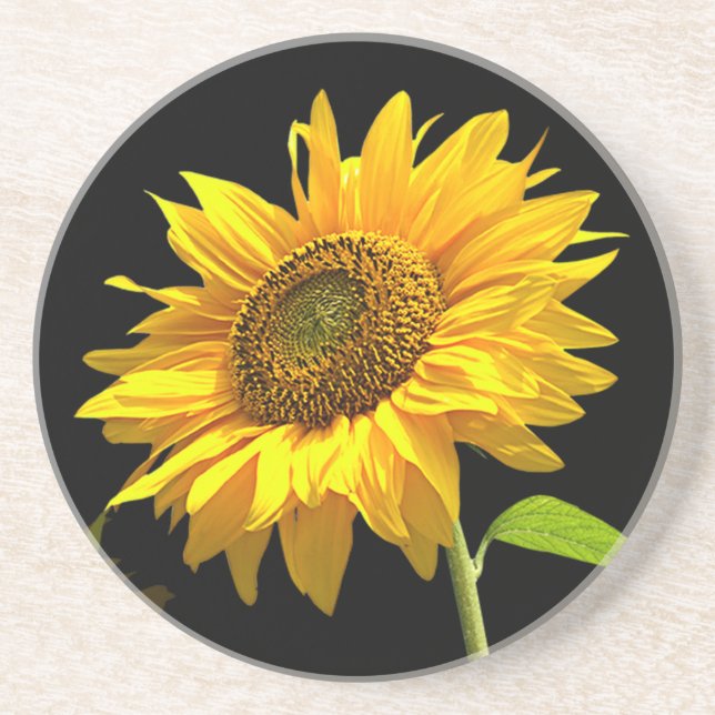 Posavasos Girasol brillante en fondo negro (Frente)