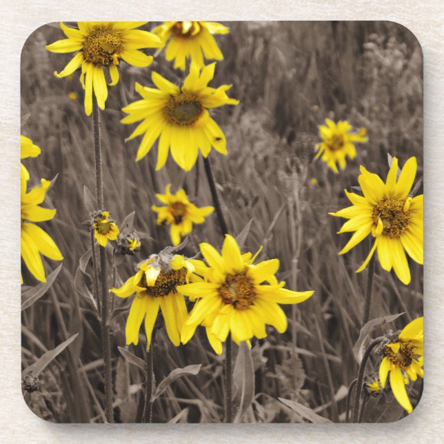 Posavasos Girasol en la Montaña Rocosa (Frente)