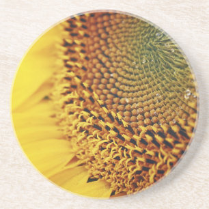 Posavasos Girasol fresco y de oro