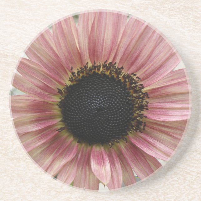 Posavasos Girasol rosa pálido (Frente)