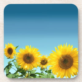 Posavasos Girasoles elegantes sobre tonos azul cielo