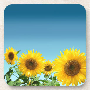 Posavasos Girasoles elegantes sobre tonos azul cielo