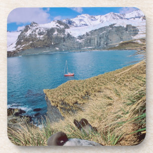 Posavasos Glaciares y yate de vela al fondo