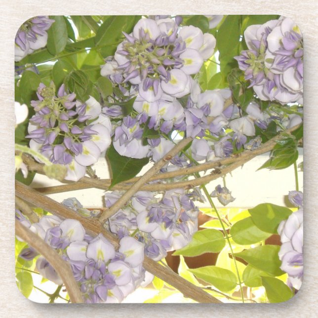 Posavasos Glicinia (Frente)