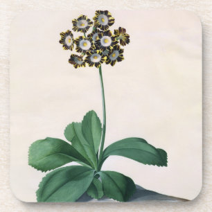 Posavasos Gloria de Chilton (aguazo en la vitela)