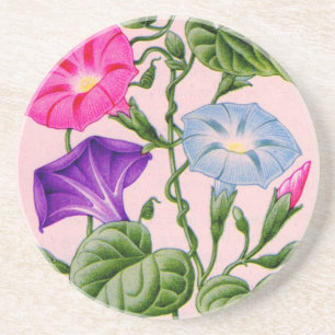 Posavasos gloria matutina en azul y rosa