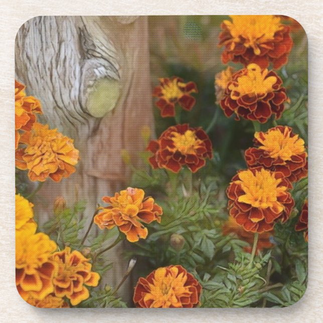 Posavasos Gloriosos Marigolds (Frente)