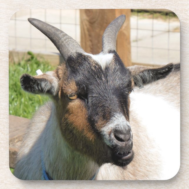 POSAVASOS GOAT (Frente)