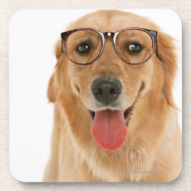 Posavasos Golden retriever 3 (Frente)