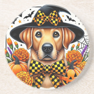Posavasos Golden Retriever con sombrero de bruja junto a cal