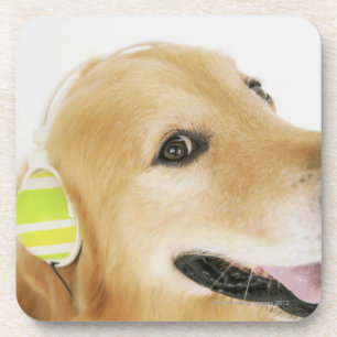 Posavasos Golden retriever que escucha la música