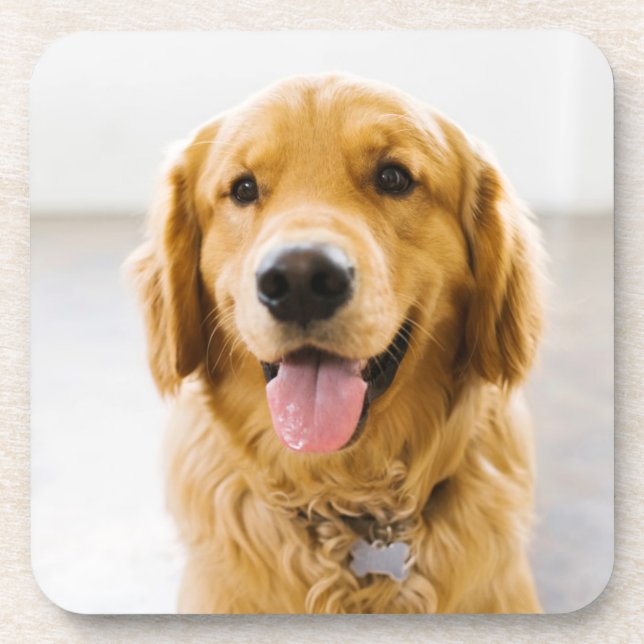 Posavasos Golden Retriever Sonriendo (Frente)
