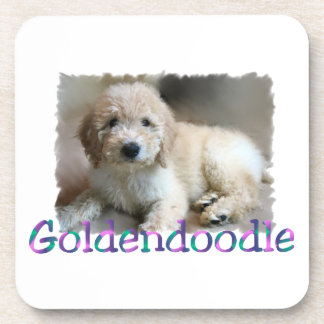 Posavasos Goldendoodle Art