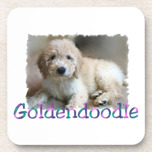 Posavasos Goldendoodle Art (Frente)