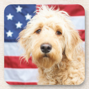 Posavasos Goldendoodle con bandera estadounidense