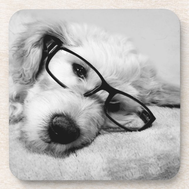 Posavasos Goldendoodle Con Gafas (Frente)
