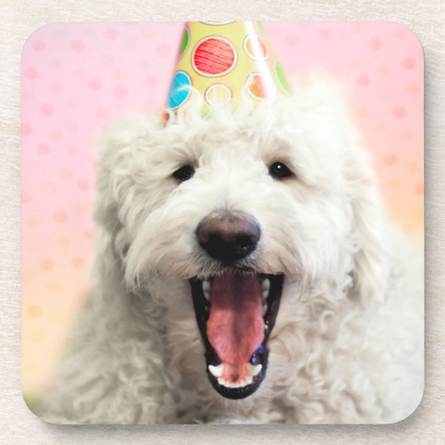 Posavasos Goldendoodle Con Gorra Fiesta (Frente)