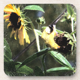 Posavasos Goldfinch