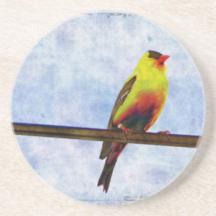 Posavasos Goldfinch en Power Line
