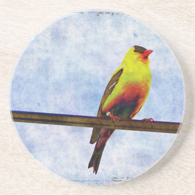 Posavasos Goldfinch en Power Line (Frente)