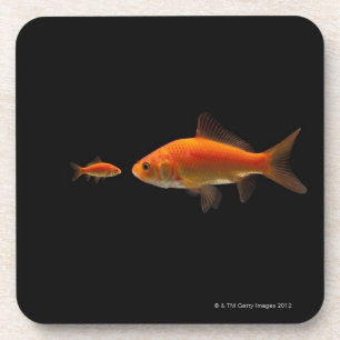Posavasos Goldfish