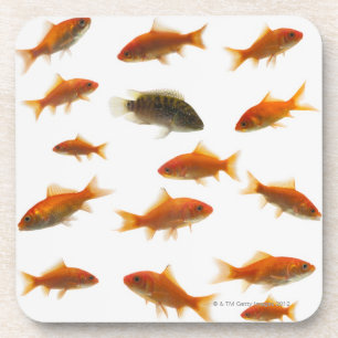 Posavasos Goldfish 3