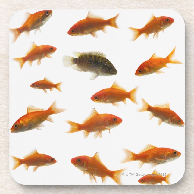 Posavasos Goldfish 3 (Frente)
