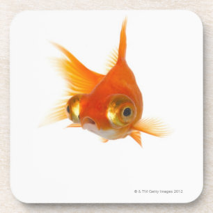 Posavasos Goldfish con los ojos grandes