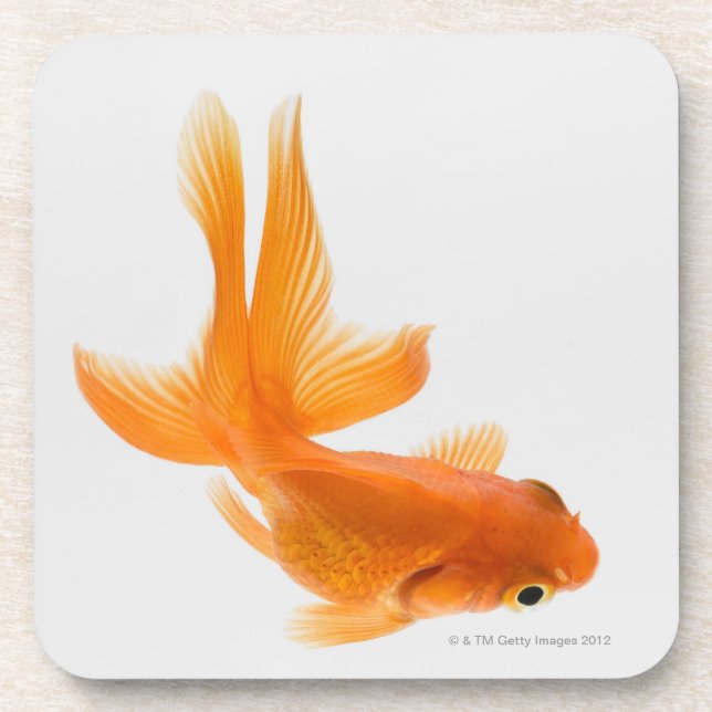 Posavasos Goldfish de la cola de milano (auratus del (Frente)