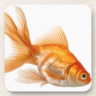Posavasos Goldfish de lujo