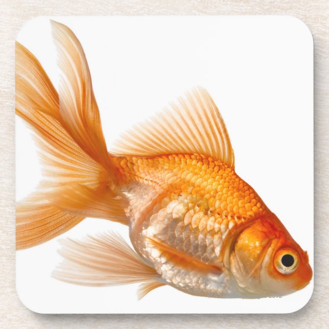 Posavasos Goldfish de lujo (Frente)