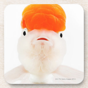 Posavasos Goldfish del lionhead del mozo de estación