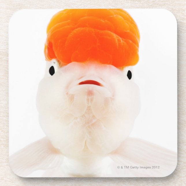 Posavasos Goldfish del lionhead del mozo de estación (Frente)