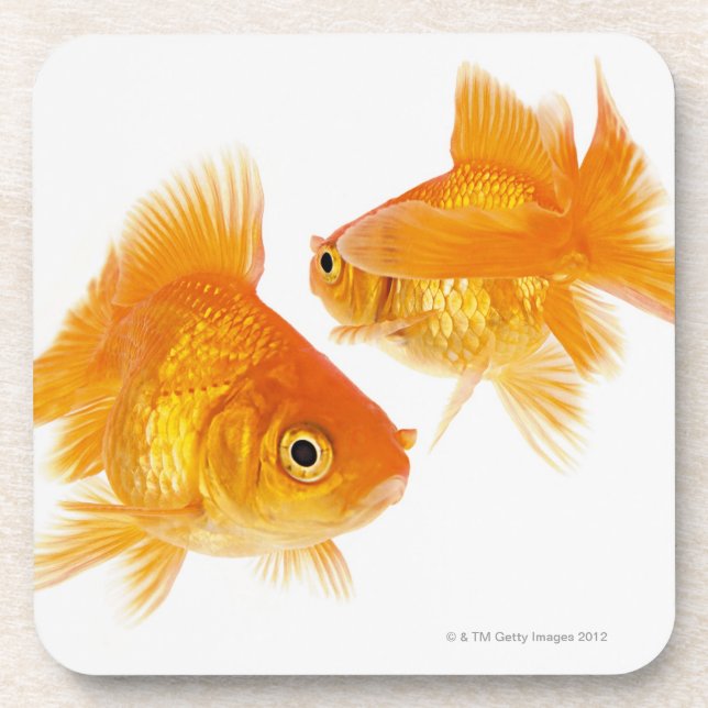 Posavasos Goldfish dos que se cruza (Frente)