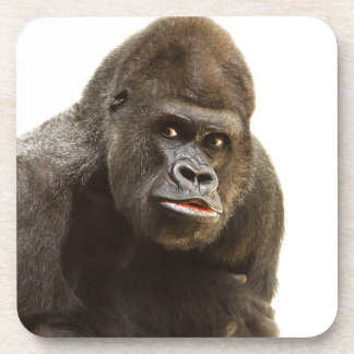 Posavasos Gorilla Pout