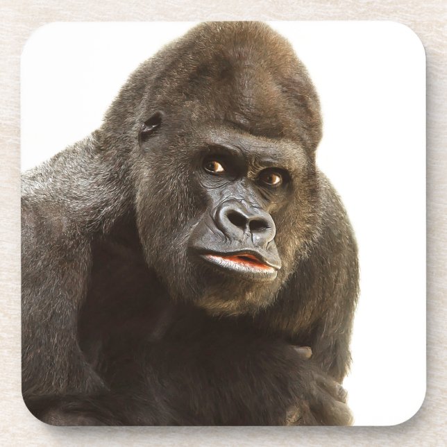 Posavasos Gorilla Pout (Frente)