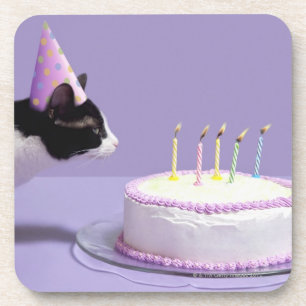 Posavasos Gorra del cumpleaños del gato que lleva que sopla