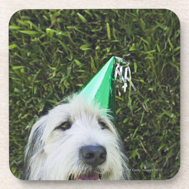 Posavasos Gorra del fiesta del perro que lleva (Frente)