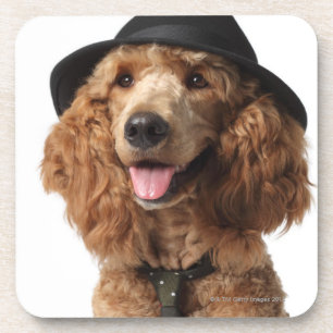 Posavasos Gorra y lazo que llevan de oro del perro de