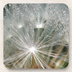 Posavasos Gotas de agua brillantes sobre un diente de león b