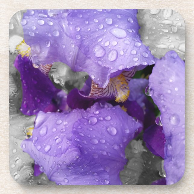 Posavasos gotas de lluvia sobre el iris (Frente)