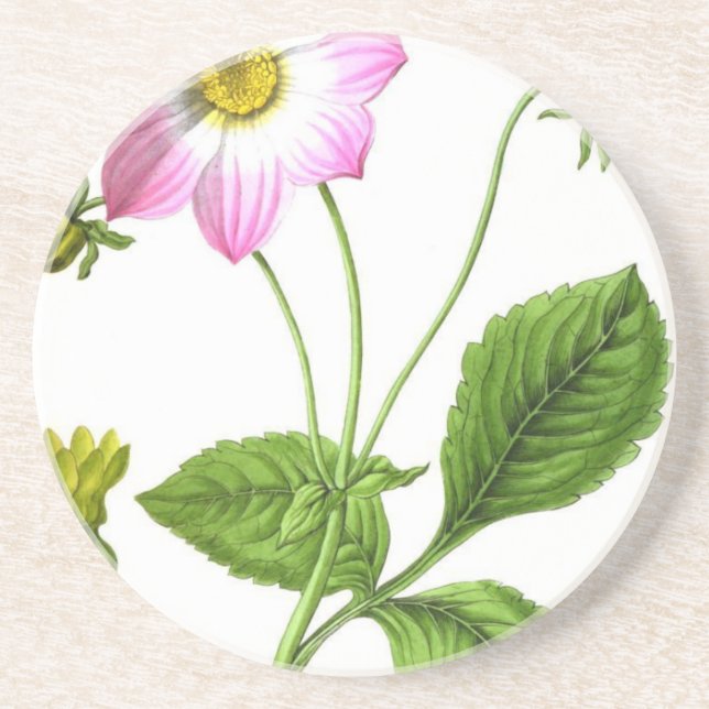 Posavasos Gracia (Frente)