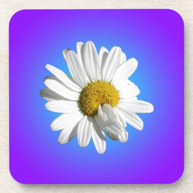 Posavasos Gradiente azul morado de flor de margarita blanca (Frente)